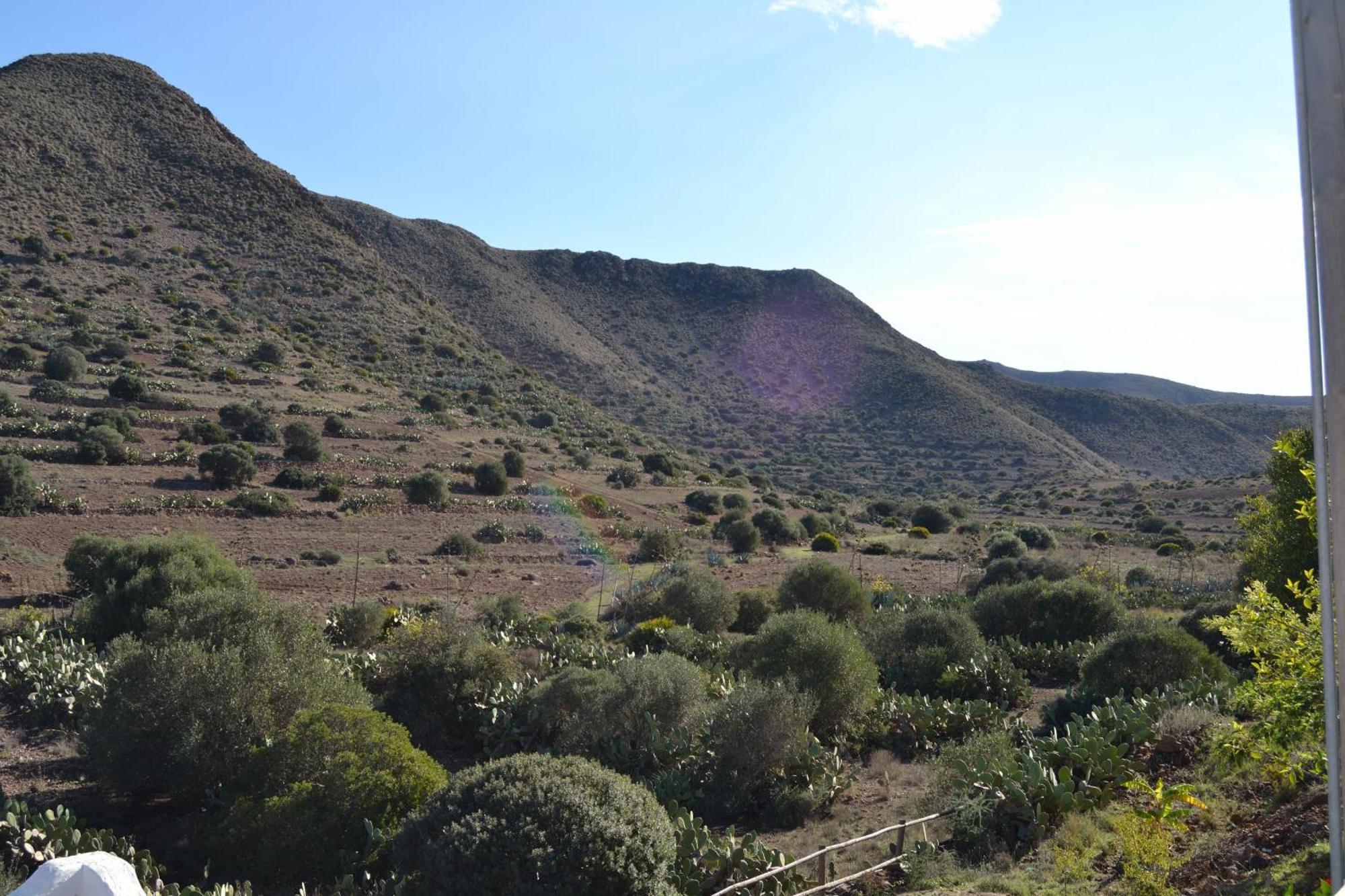 Casas Rurales La Minilla Los Albaricoques ภายนอก รูปภาพ