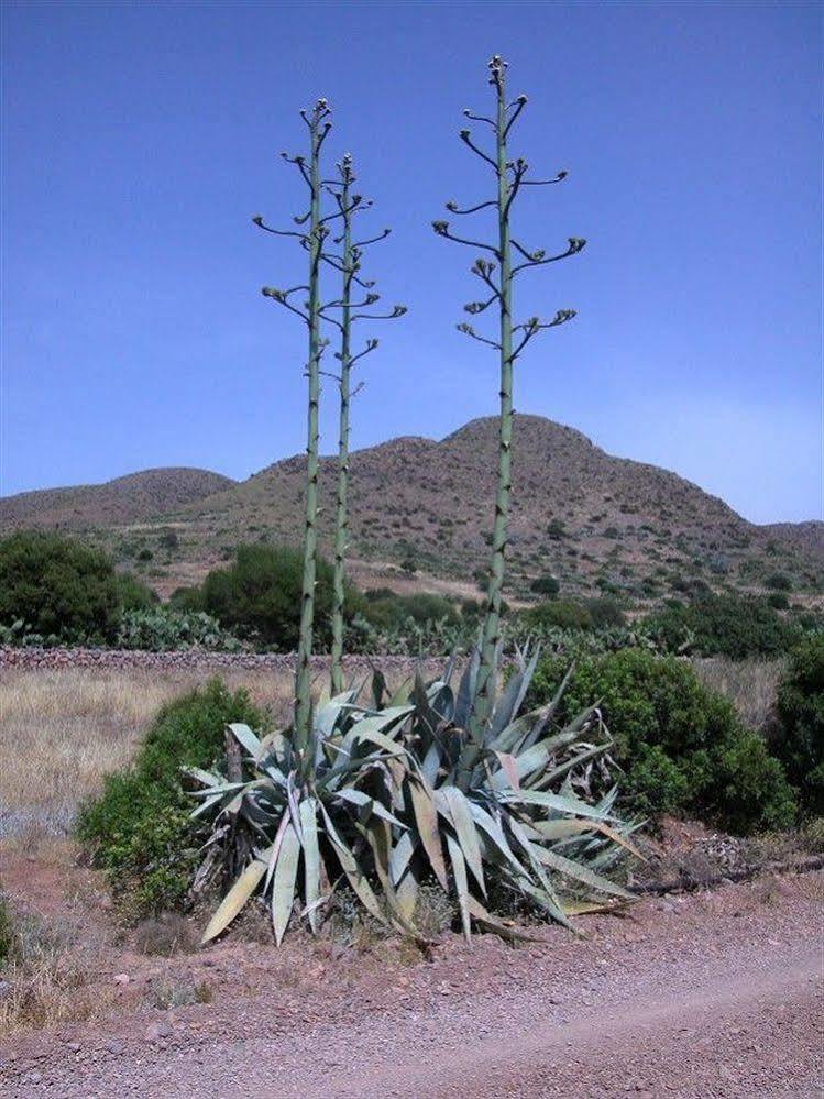 Casas Rurales La Minilla Los Albaricoques ภายนอก รูปภาพ