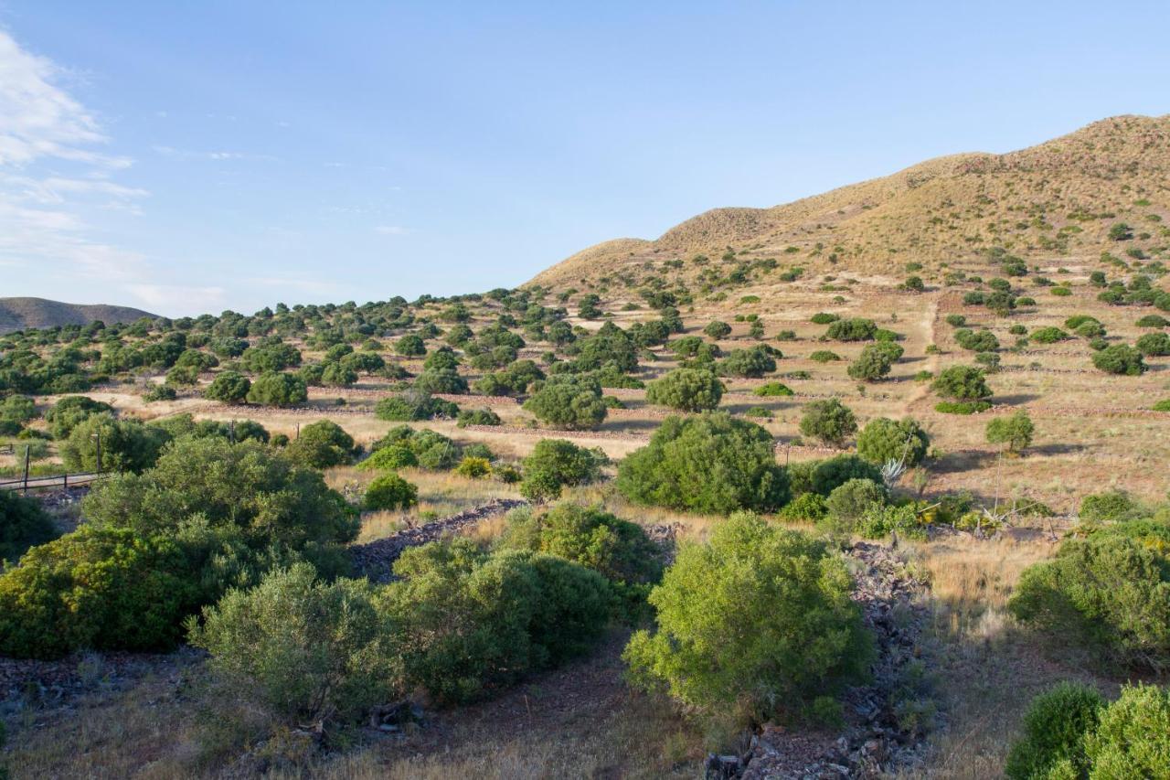 Casas Rurales La Minilla Los Albaricoques ภายนอก รูปภาพ